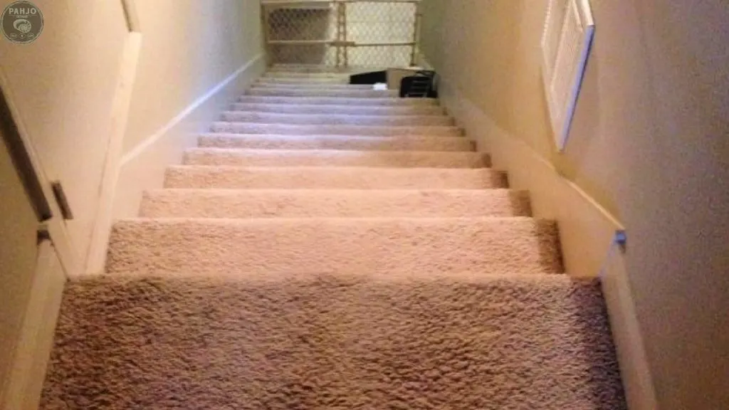 carpet stairs before remodel