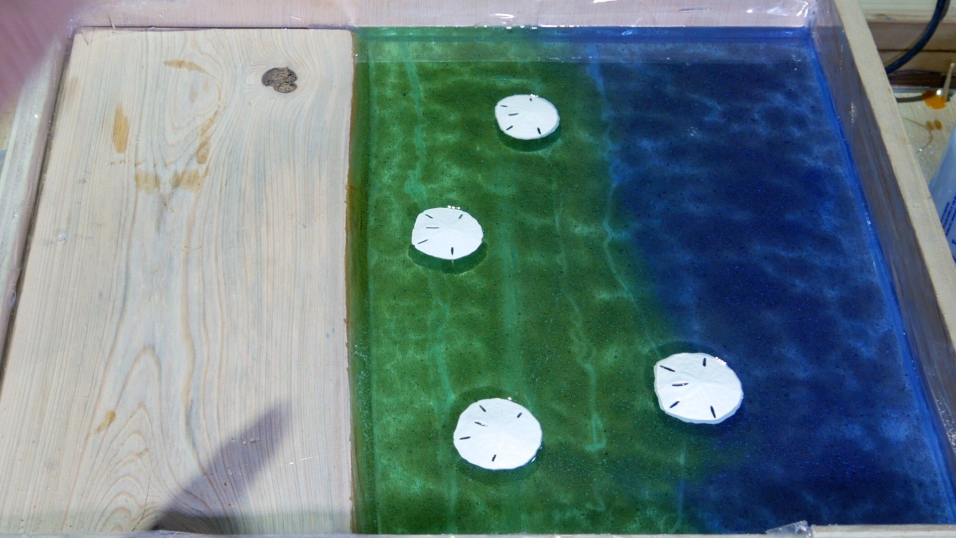 DIY Wood and Resin Beach Art with Real Sand_add sand dollars to resin