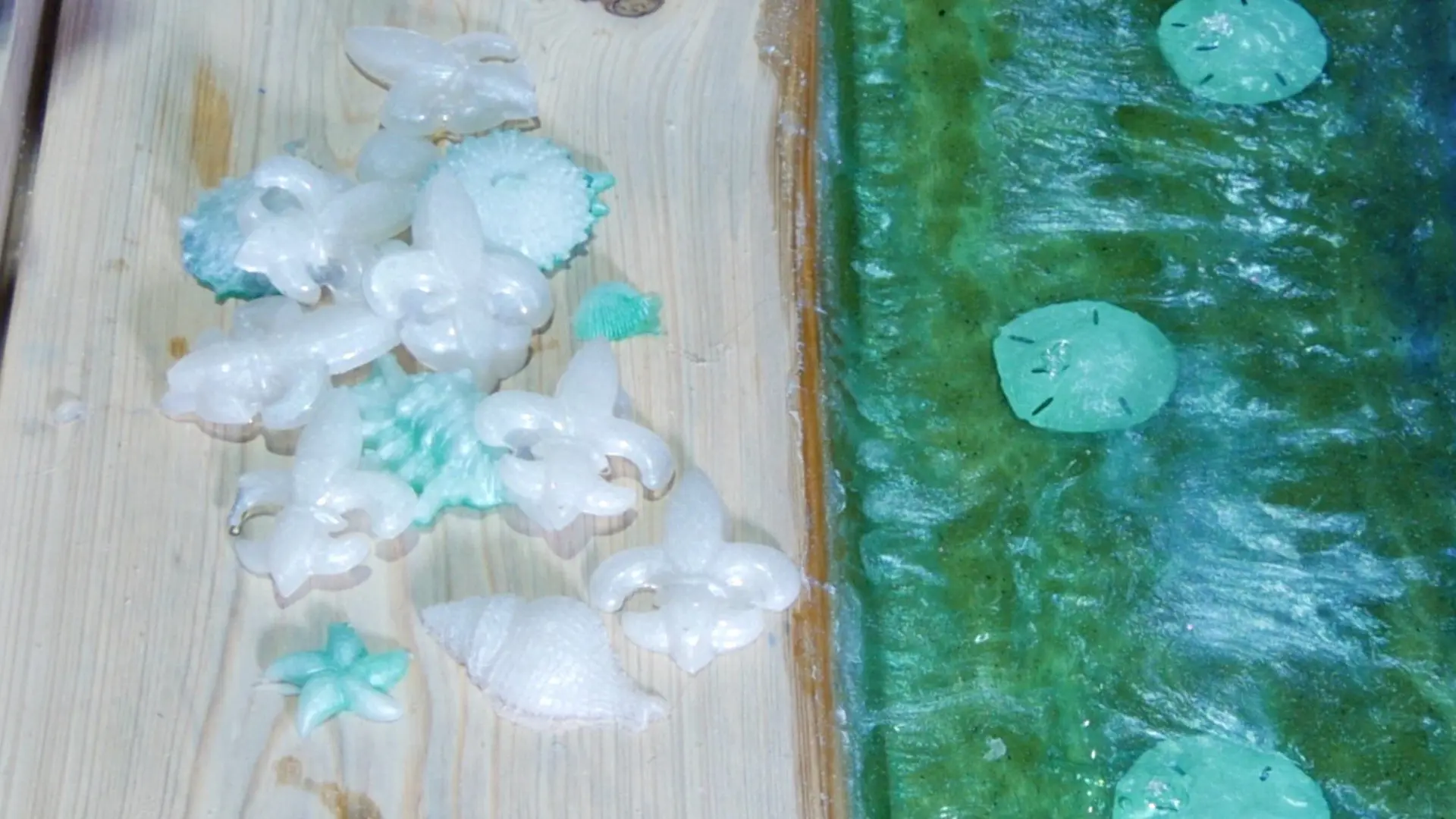 DIY Wood and Resin Beach Art with Real Sand_sea shells