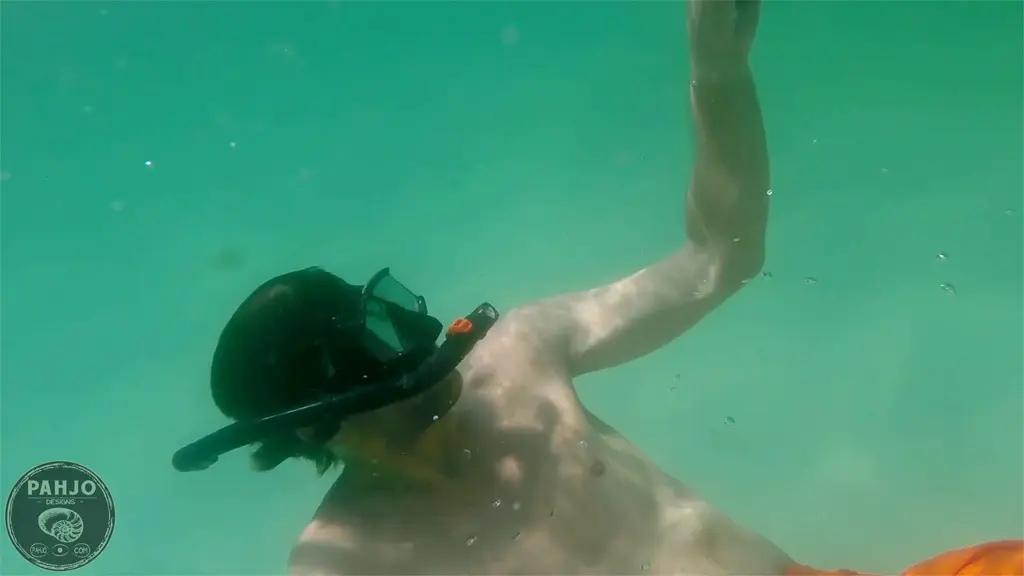 snorkeling in Destin, Florida