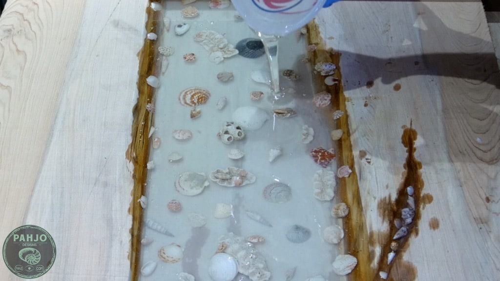 embedding shells in resin
