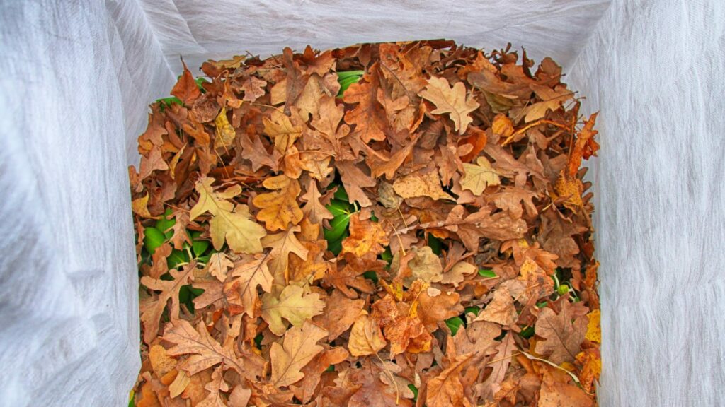 how to shred leaves for mulch