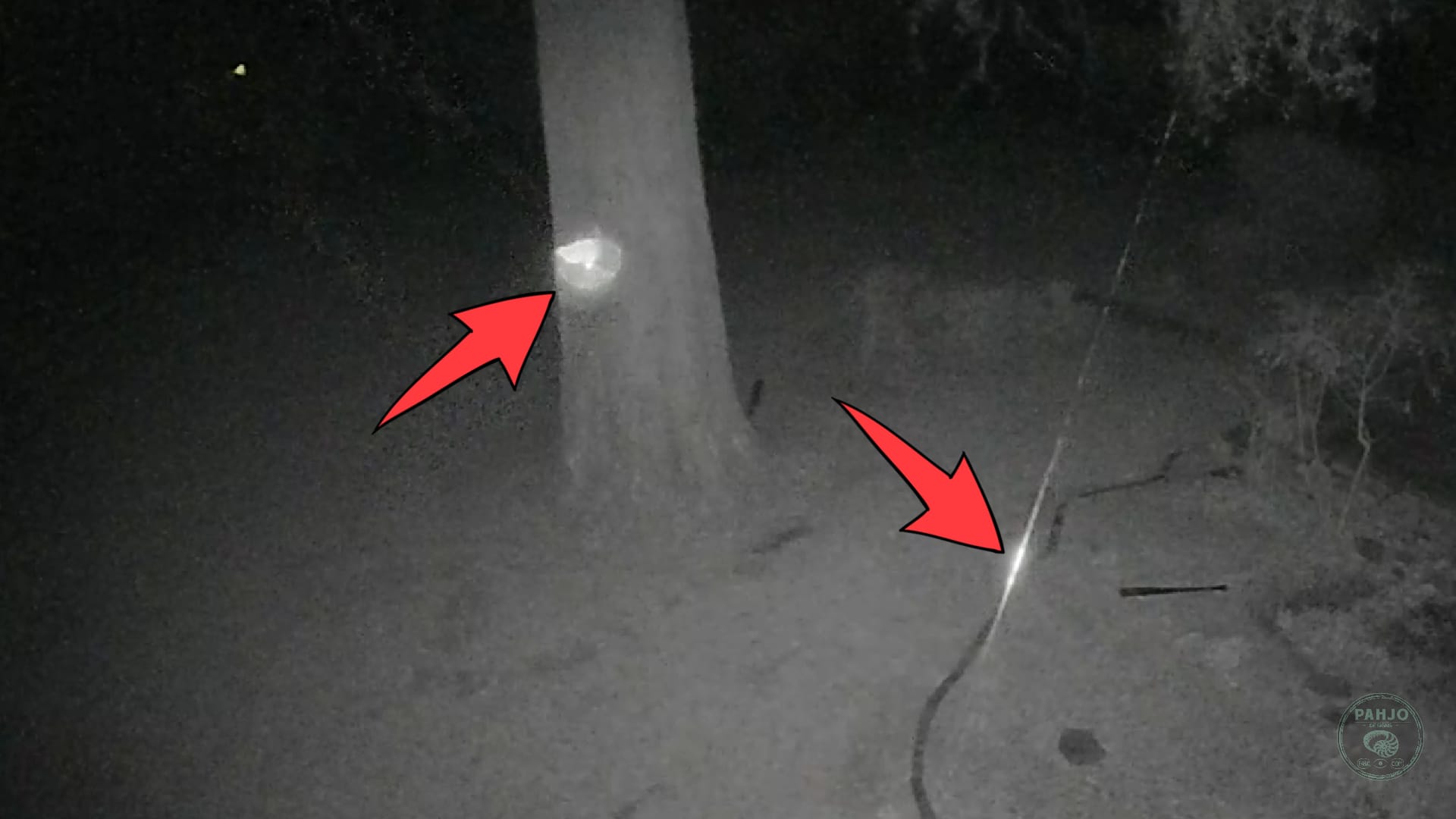 How to Keep Bugs Away from Security Cameras DIY Guide