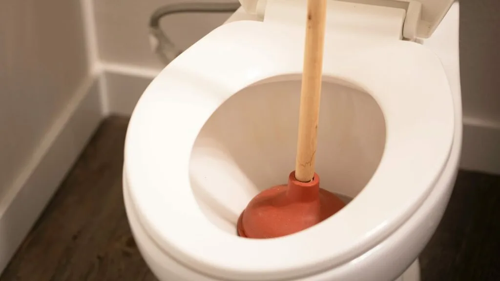 toilet won't flush unclog drain with plunger